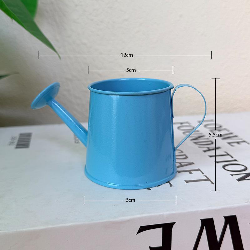 Gardening Tools Vintage - Mini Watering Can Metal Vintage Long