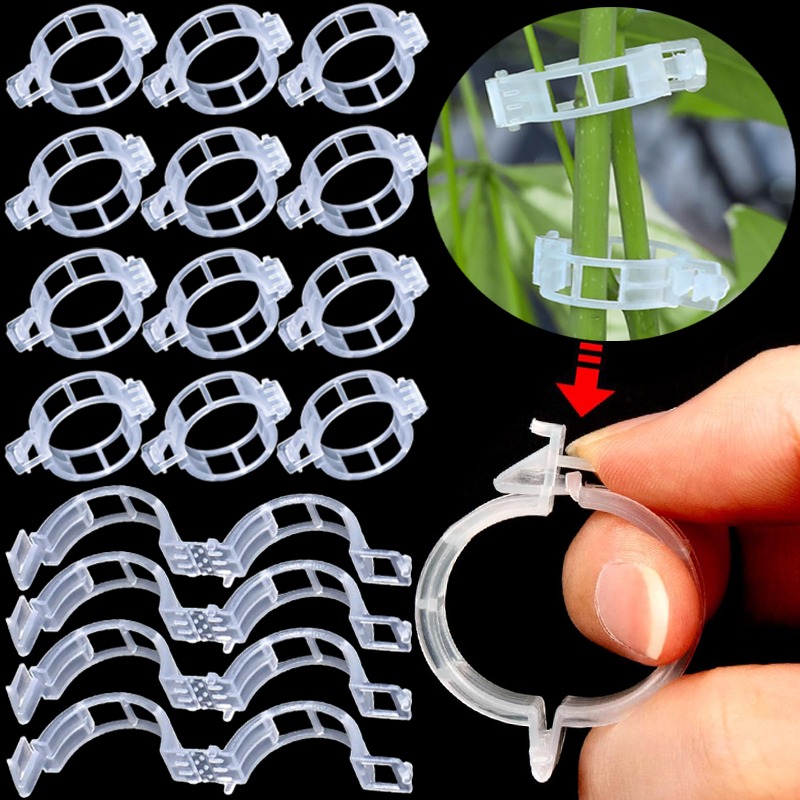 Gardening Tools Holder - 300/50PCS Plant Support Clips Reusable Plastic