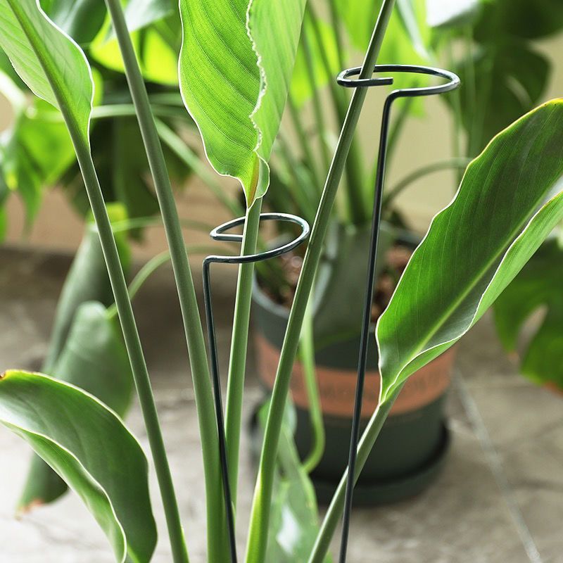 1/10pcs Garden Support Stake R - огляд і ціна Gardening Tools Holder