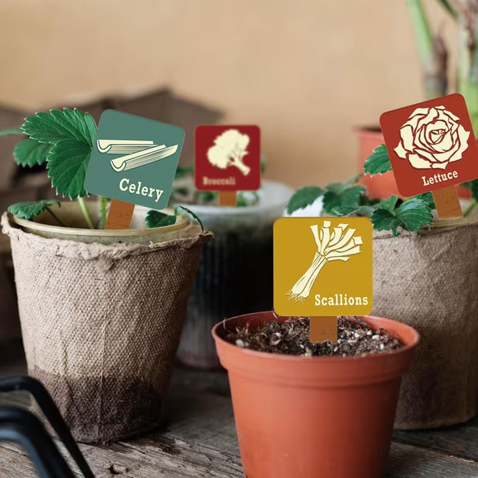 Garden Plant Markers 15 Pieces - огляд і ціна Garden Row Marker