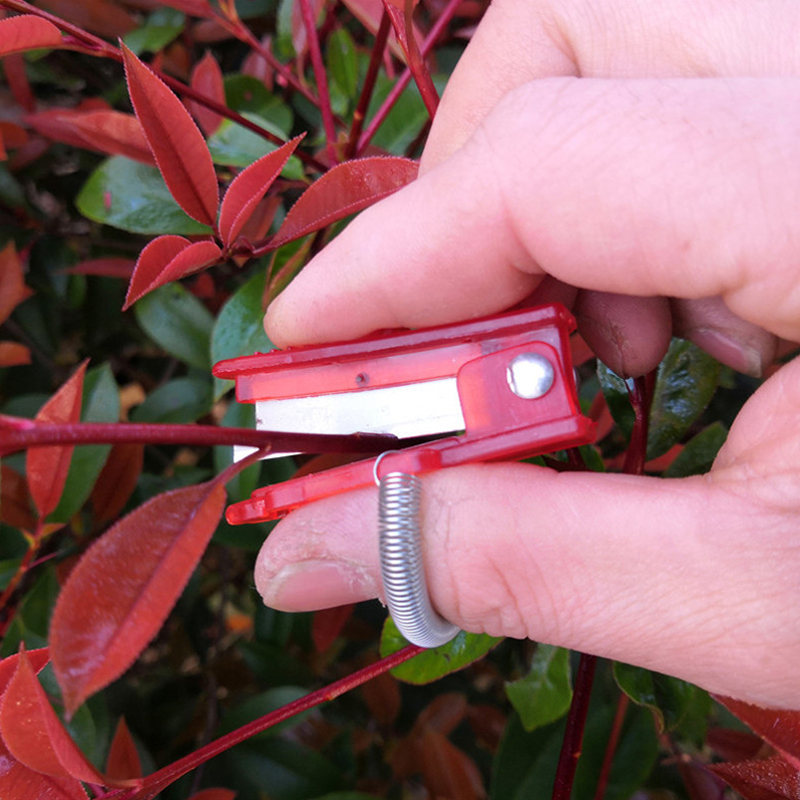 1/2/3pcs Vegetable Thump Knife - огляд і ціна Harvest Knife Garden