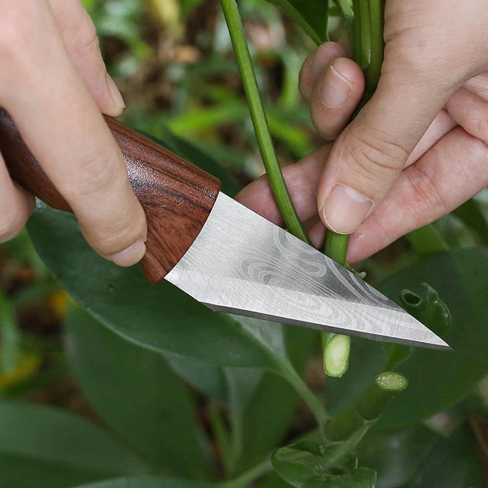 Grafting Knife Grafting Tools  - огляд і ціна Harvest Knife Garden