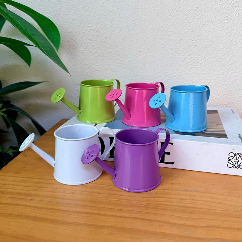 Mini Watering Can Metal Vintag - огляд і ціна Gardening Tools Vintage