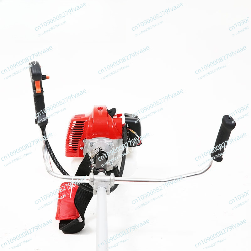 FS250 2 Stroke lawn mower brus - огляд і ціна Gardening Tools Best