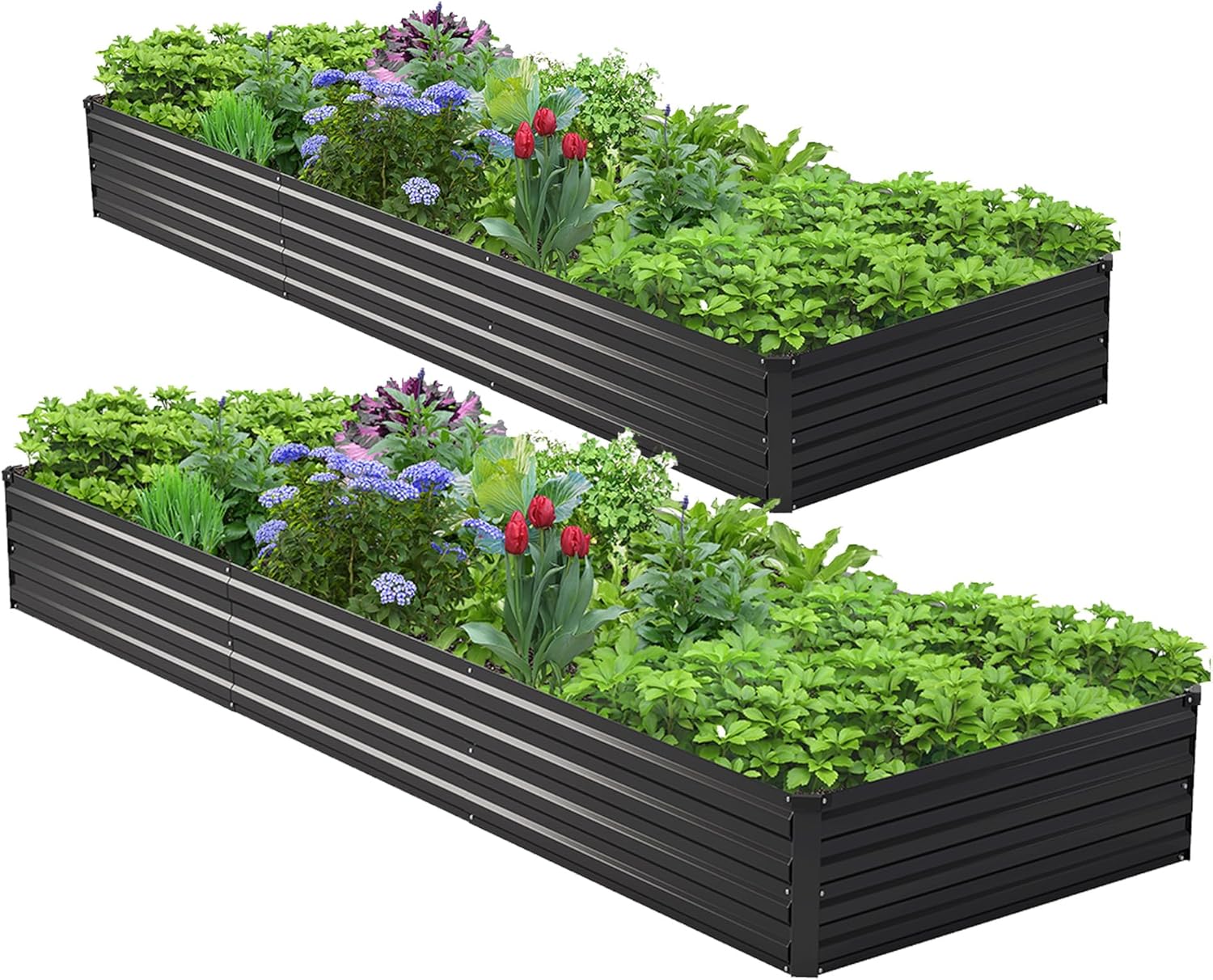 2PCS 10x3x1ft Galvanized Raise - огляд і ціна Raised Bed Planter Box