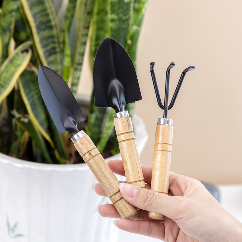 3PC/1Set  Mini Gardening Tools - огляд і ціна Gardening Tools Shovel