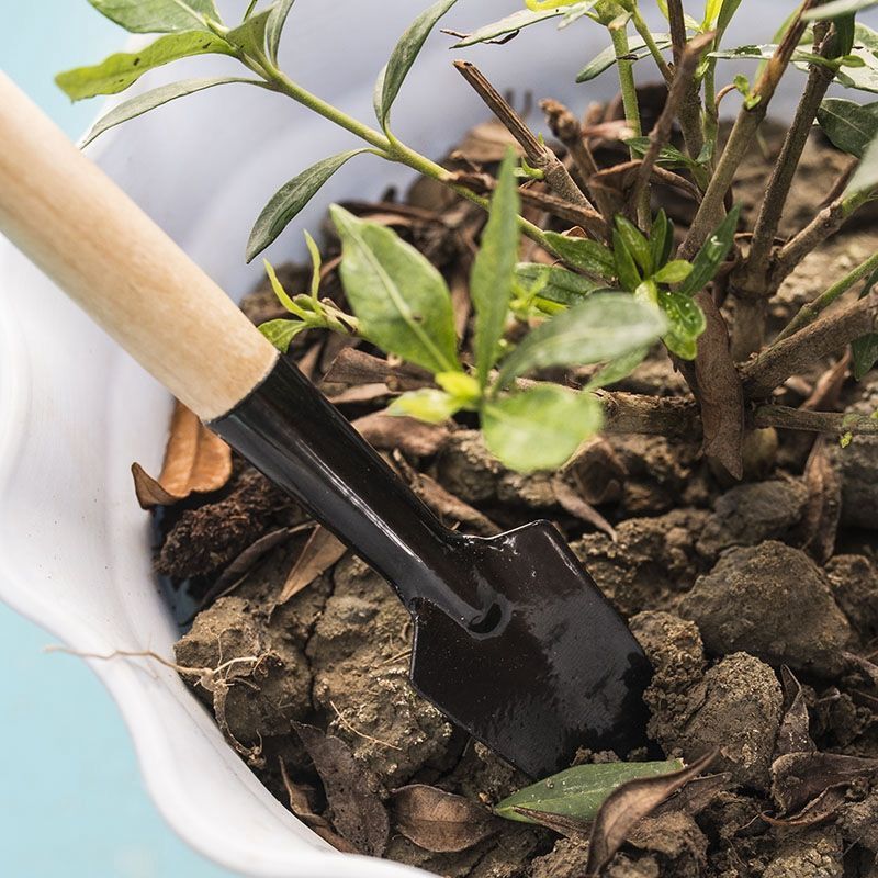 3PC/1Set  Mini Gardening Tools - огляд і ціна Gardening Tools Shovel