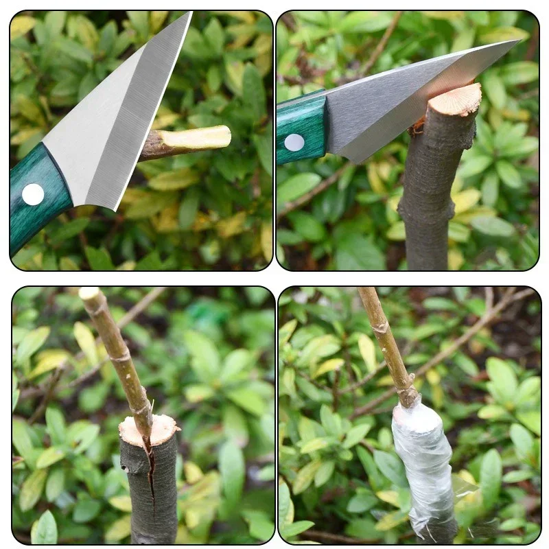 Stainless Steel Grafting Knife - огляд і ціна Harvest Knife Garden
