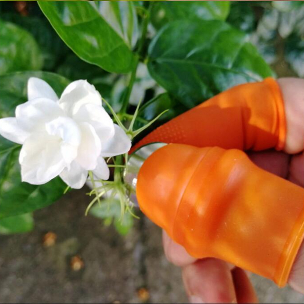 Garden Silicone Thumb Knife Wi - огляд і ціна Harvest Knife Garden