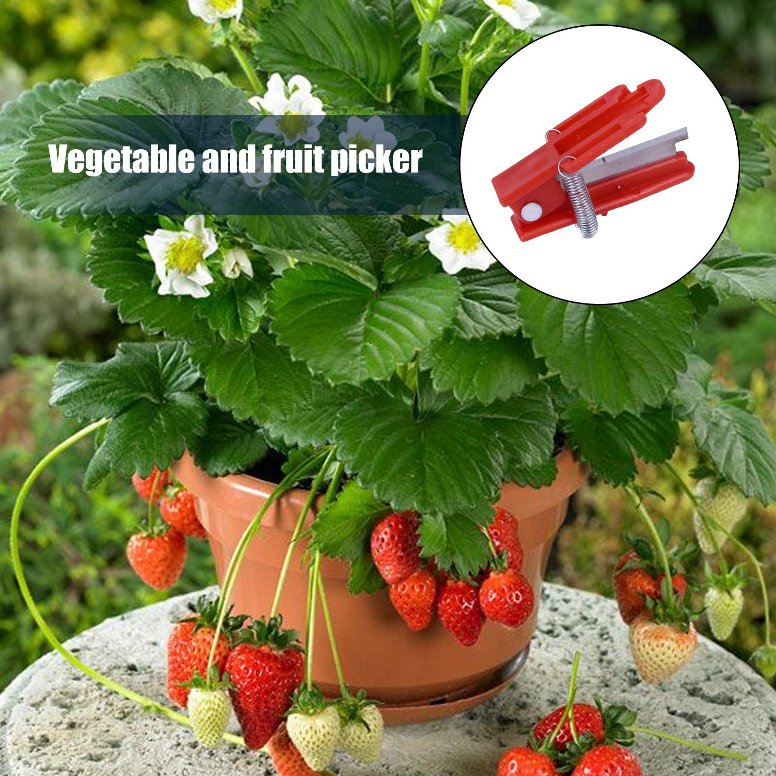 Multifunction Thumb Knife Gard - огляд і ціна Harvest Knife Garden