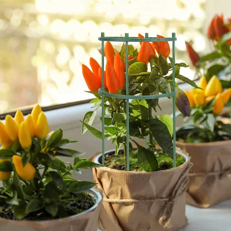 Plastic Plant Support Pile Sta - огляд і ціна Gardening Tools Holder