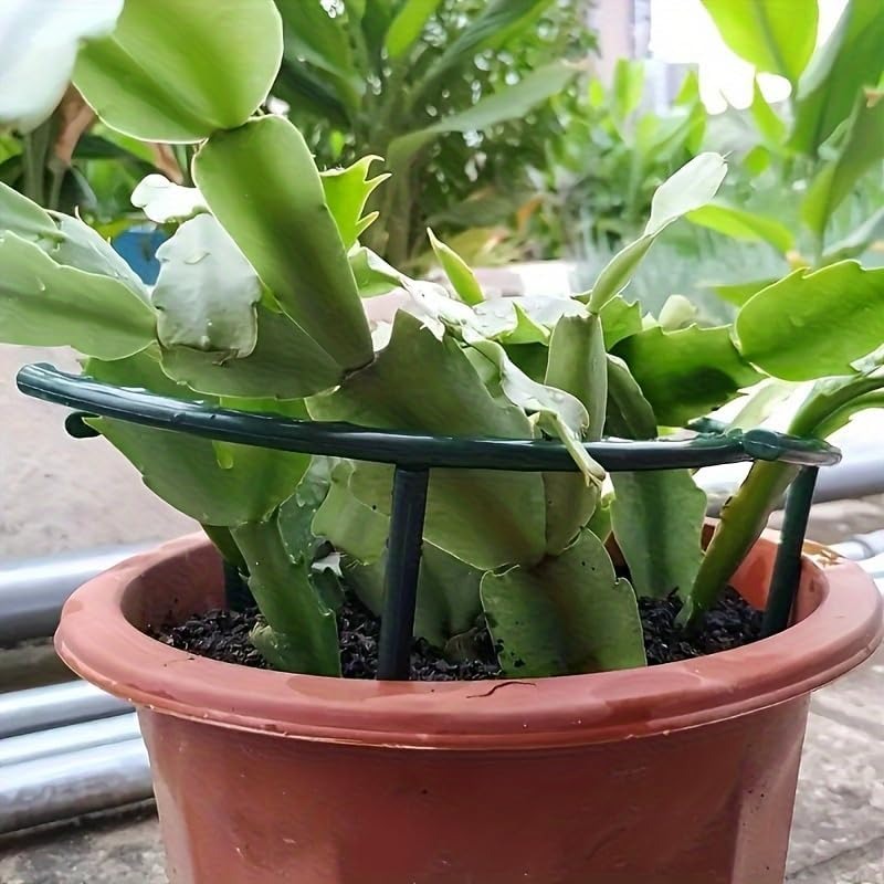 30-1PCS Plastic Plant Support  - огляд і ціна Gardening Tools Holder