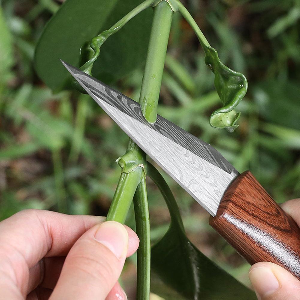 Sharp Grafting Knife with Wood - огляд і ціна Harvest Knife Garden