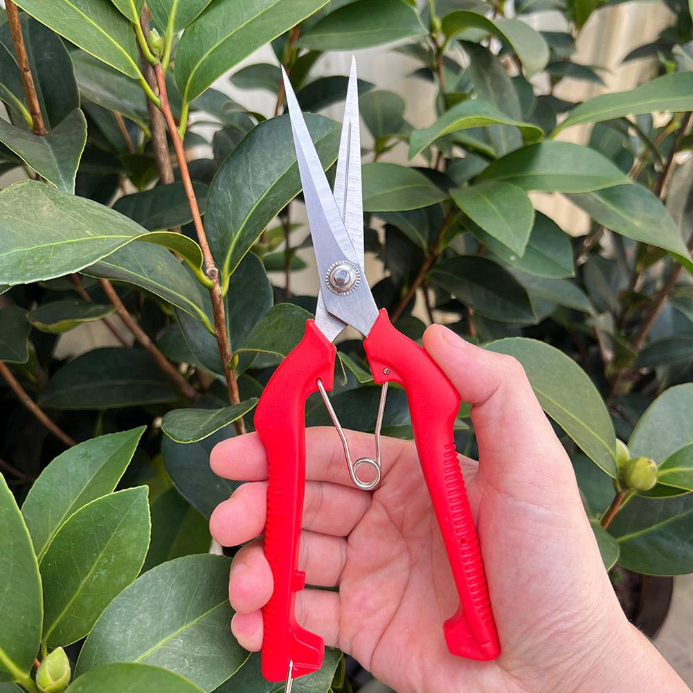Pro Garden Pruning Shears Leng - огляд і ціна Gardening Tools Hand