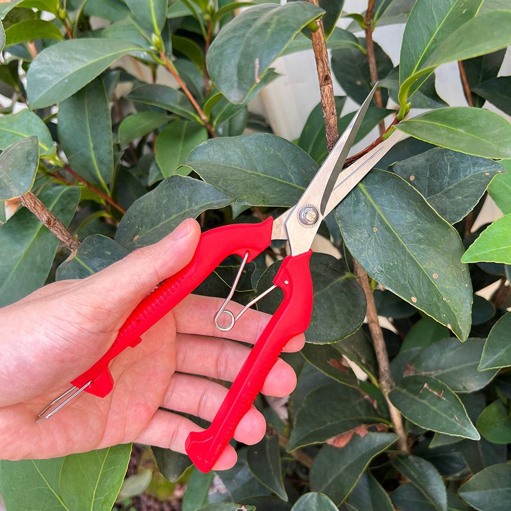Pro Garden Pruning Shears Leng - огляд і ціна Gardening Tools Hand