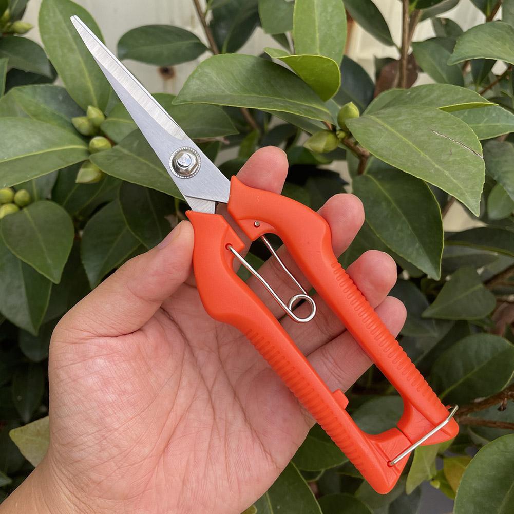 Pro Garden Pruning Shears Leng - огляд і ціна Gardening Tools Hand
