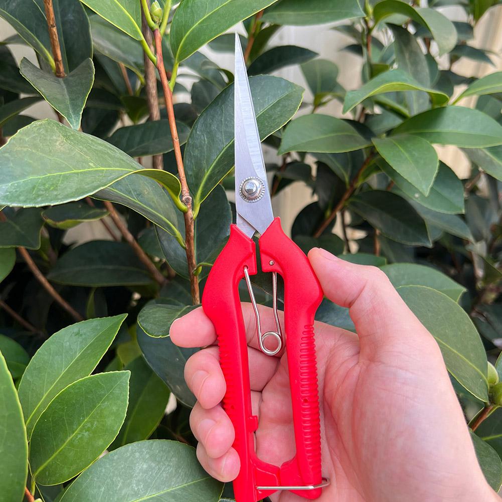 Pro Garden Pruning Shears Leng - огляд і ціна Gardening Tools Hand
