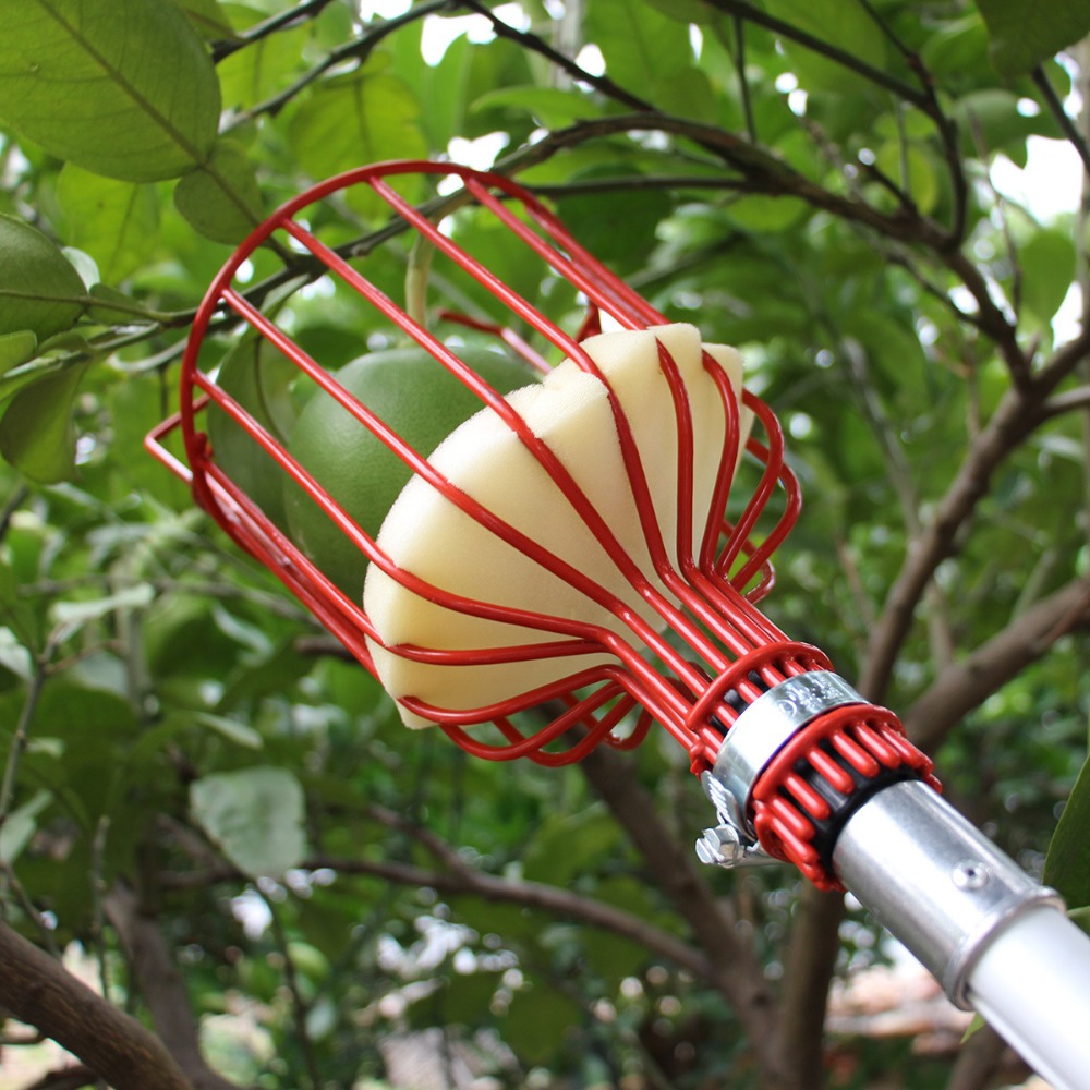Metal/Plastic Fruit Picker Hea - огляд і ціна Gardening Tools Hand