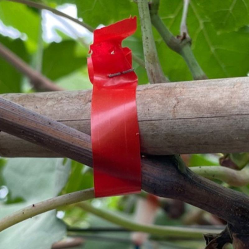 Grape Branch Binding Machine S - огляд і ціна Gardening Tools Hand