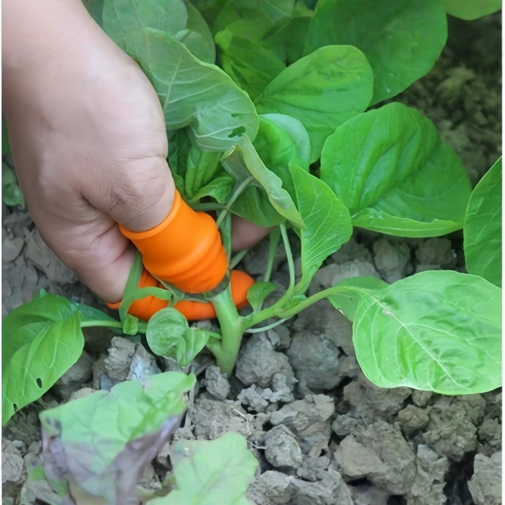 Vegetable Picking Stainless St - огляд і ціна Harvest Knife Garden
