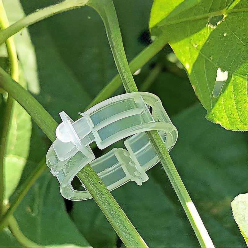 300/50PCS Plant Support Clips  - огляд і ціна Gardening Tools Holder