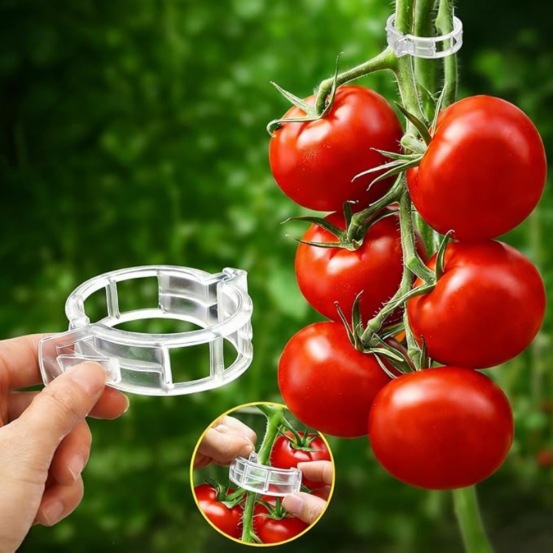 300/50PCS Plant Support Clips  - огляд і ціна Gardening Tools Holder